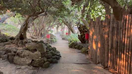 Virtual Walk - Land of Angels Waterfall Park - Thailand