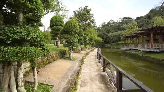 Virtual Walk - Botanical Gardens - Kuala Lumpur Malaysia