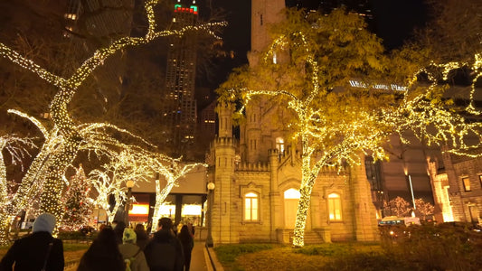 Virtual Walk - Christmas Chicago USA