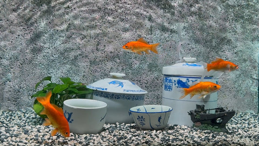 AQUARIUM - Chinese Art Deco Aquariums with Soothing Music