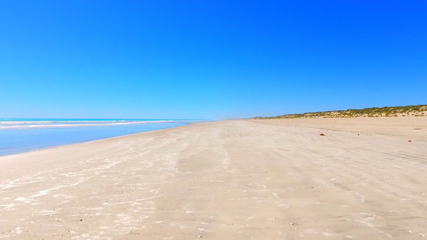 Virtual Cycle Rides - Beaches of Australia with Seagulls and Sounds of the Waves