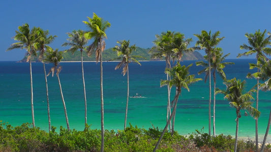 BEACH - A Day at the Tropical Beaches - Philippines
