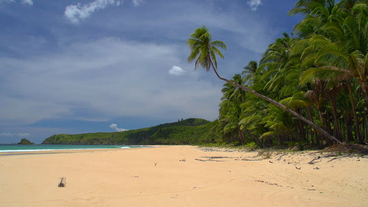 BEACH - A Day at the Tropical Beach with Waves Sound and Music