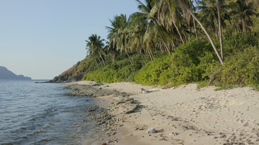 BEACH - Above and Under the Waves with Sea Sounds 2