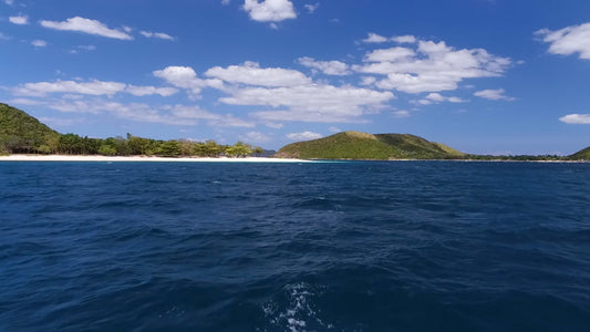 BEACH - Above and Under the Waves with Sea Sounds 1