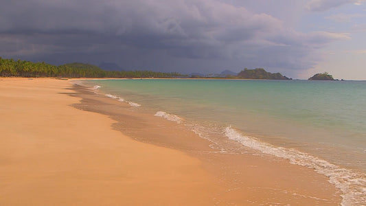 BEACH - Dark Sky Beach