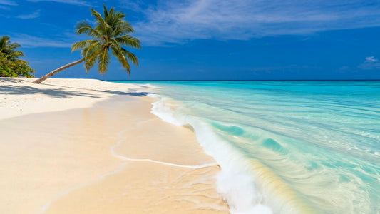 BEACH - Maldives Beaches 1