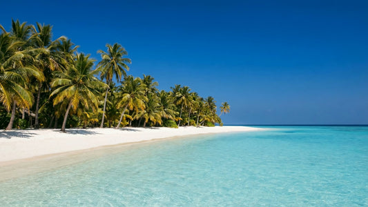BEACH - Maldives Beaches  3