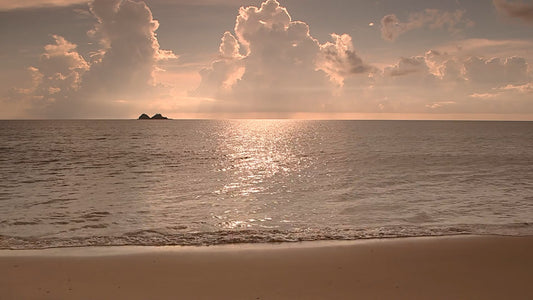 BEACH - Silver Beach with Wave Sounds