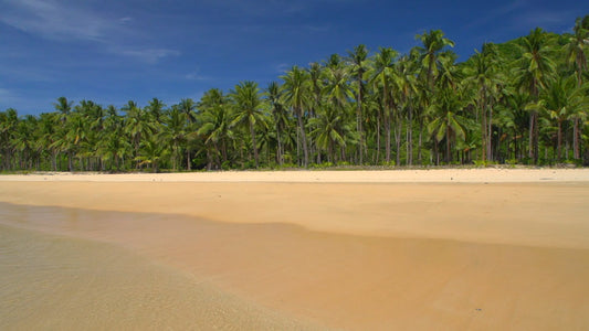 BEACH - Tropical Beach from Sea View