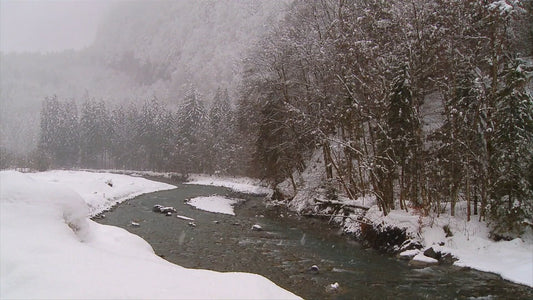 NATURE MUSIC - Christmas with Music