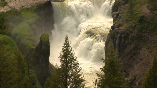 NATURE MUSIC - Water Melodies - Nature Symphony