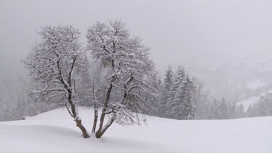 NATURE SOUND - Alpine Winter Movie with Winter Sounds
