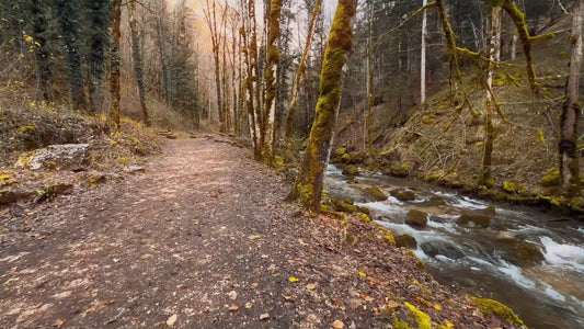 Nature Walk – Cascades du Hérisson, France