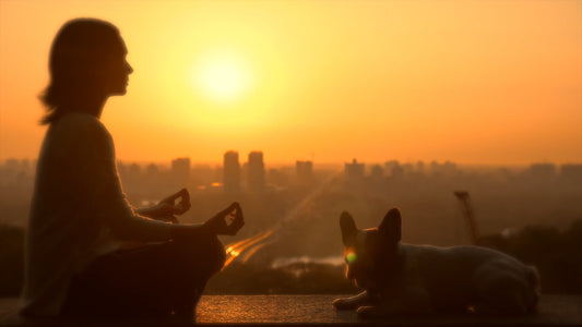 CAT - Relaxing with Dogs - Music and Nature Sounds