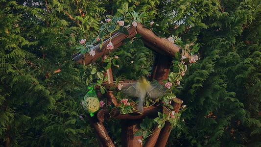 ANIMAL - Bird Table - Veluwe Bird with Nature Sounds