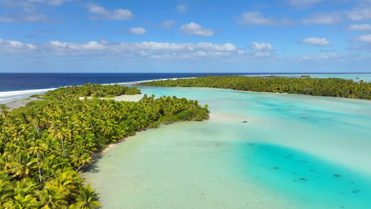 UNDERWATER - Dive French Polynesia - The Last Paradise