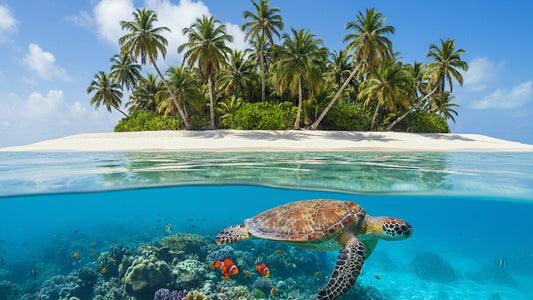 UNDERWATER - Dive The Philippines - Beneath 7,107 Islands
