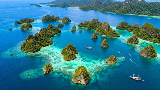 UNDERWATER - Dive Raja Ampat - Inside The Coral Triangle