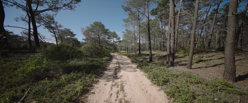 Virtual Cycle Collection - Algarve - Portugal