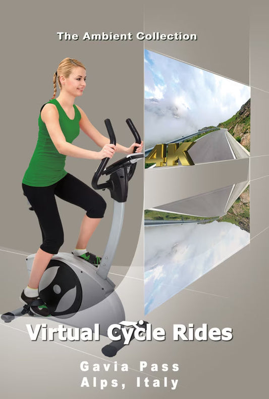 Virtual Cycle - Gavia Pass - Alps - Italy