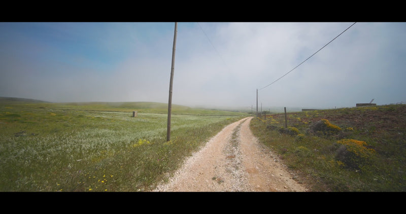 Virtual Cycle Rides - Sea Fog - Portugal