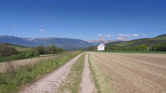 Virtual Cycle Rides – French Alpine Meadows with Local Nature Sounds
