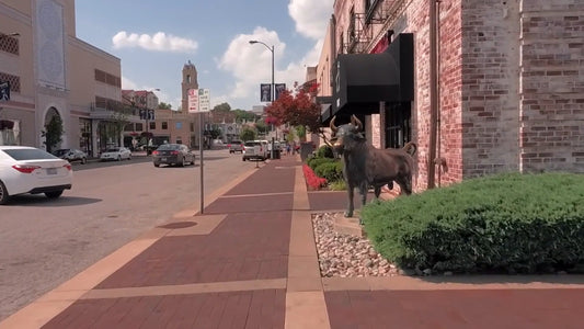 Virtual Cycle Rides – Kansas City, Kansas, USA