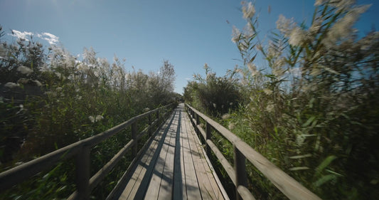 Virtual Cycle Rides - Natural Park El Fondo - Spain