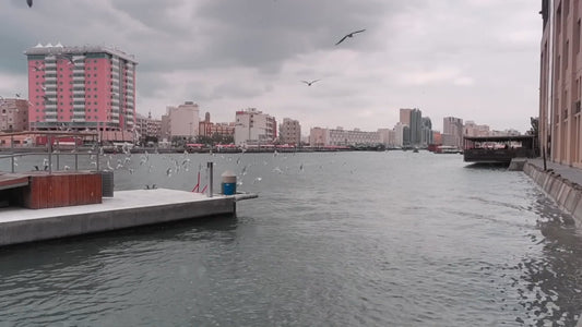 Virtual Cycle Rides – Old & New Dubai in Winter, United Arab Emirates