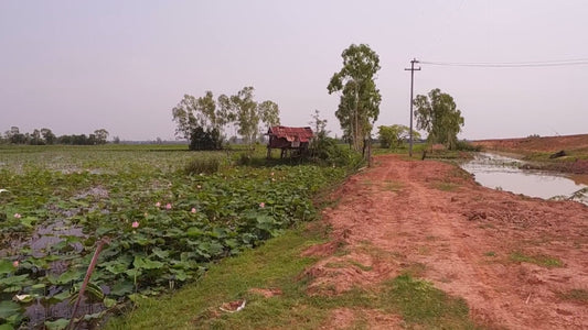Virtual Cycle Rides – Red Lotus Lake, Udon Thani, Thailand