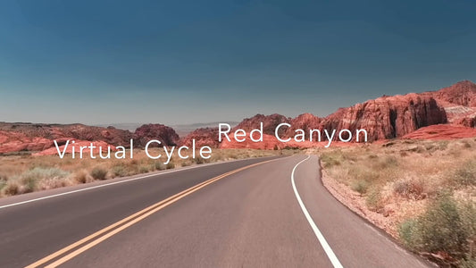 Virtual Cycle Rides – Red Rock Canyon, Nevada, USA