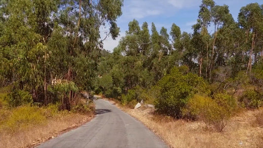 Virtual Cycle Rides – Serra de Monchique, Algarve, Portugal