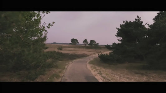 Virtual Cycle Rides – Through the Forest, Netherlands