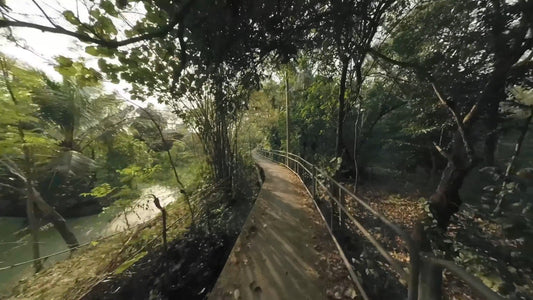 Virtual Cycle Rides - Urban Green Oasis - Bang Kachao Bangkok Thailand