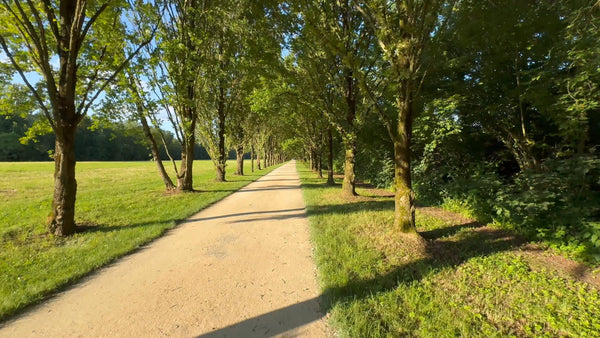 Virtual Cycle - Bietigheim Bissingen - Germany