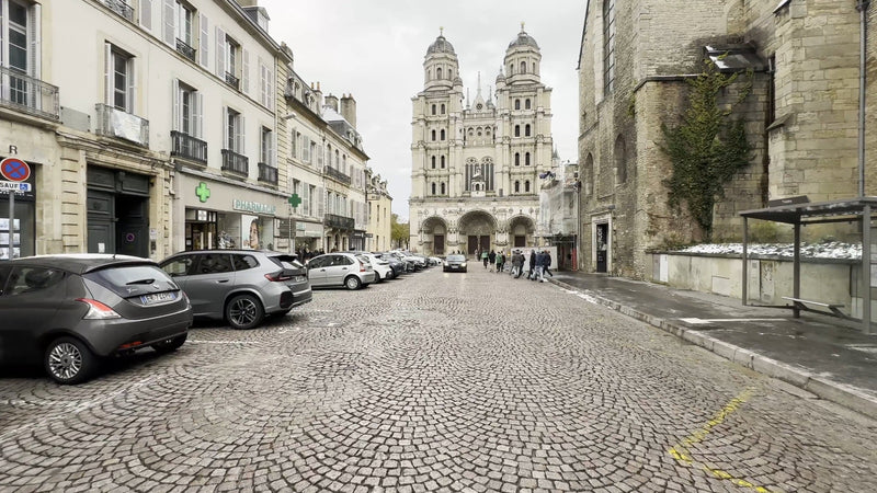 Virtual Cycle - Dijon in Snow - France
