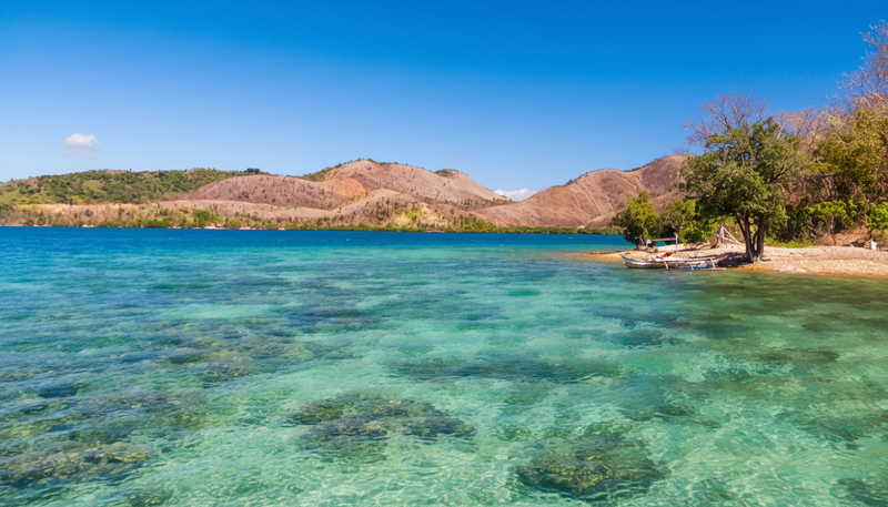 Virtual Rowing - Palawan Philippines