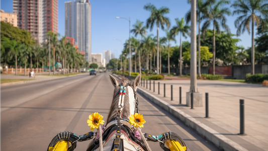 Virtual Ride – Horse Carriage Ride in Manila, Philippines