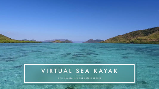 Virtual Rowing - Along Mangroves and Float over Coral Reefs and Sea Grass Gardens