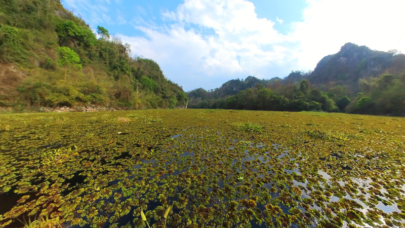 Virtual Rowing - Kew Lom Lake - Thailand