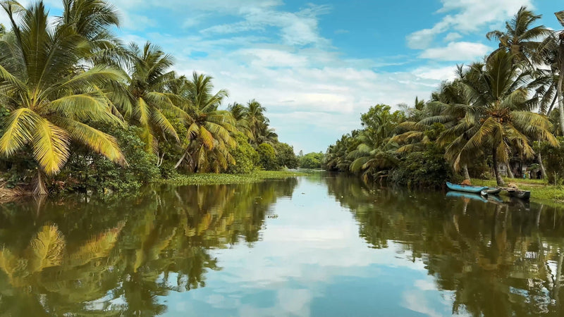 Virtual Rowing - Lagoon Moods - Sri Lanka