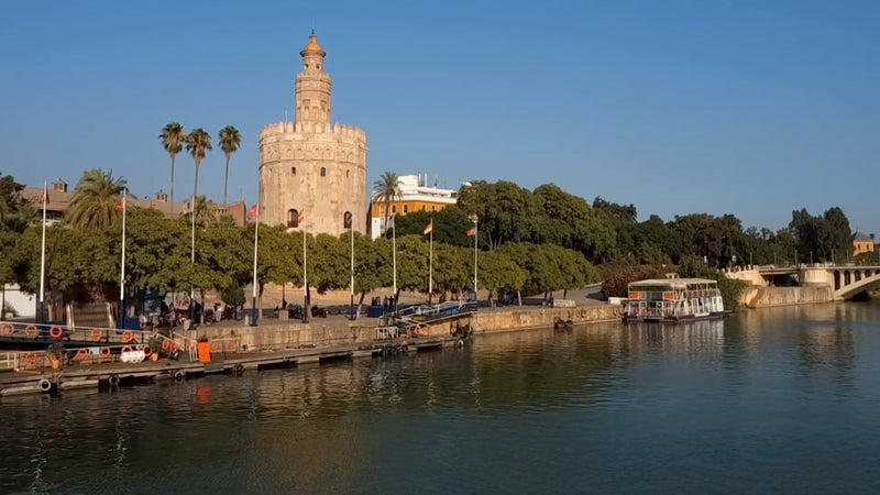 Virtual Rowing - Sevilla - Spain