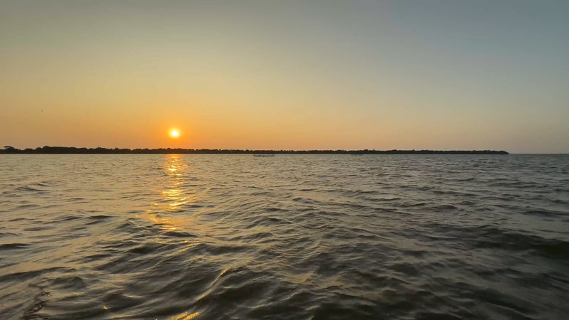 Virtual Rowing - Tropical Lagoon - Sri Lanka