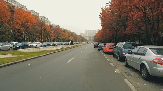 Virtual Run – Bucharest, Romania