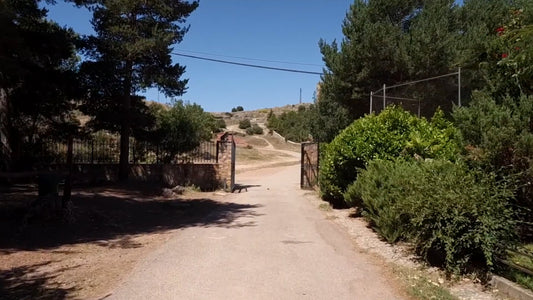 Virtual Run – Toledo, Spain