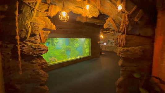 Virtual Walk – Aquarium World, Penang, Malaysia