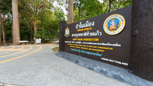 Virtual Walk - Huai Kaeo Arboretum - Thailand