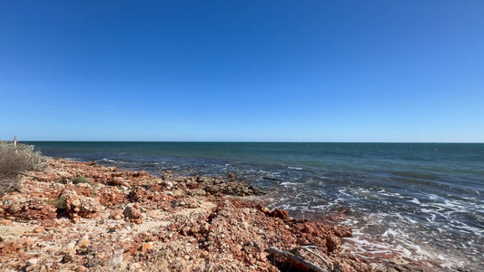 Virtual Walk - Yardie Creek Beach - Western Australia