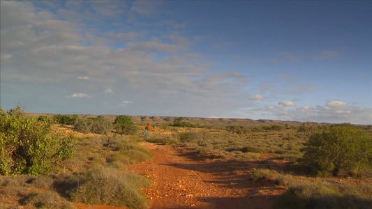 Fitness Journeys - Australian Landscapes, Indoor Walking, Treadmill, and Cycling Workouts